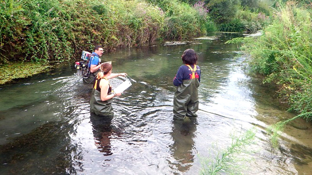 Ανακάλυψη του ψαριού Γκαβόχελου στα Τενάγη Φιλίππων, ένα 360 εκατ. ετών αρχαίο ψάρι