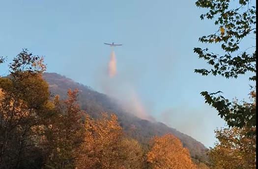 Πυρκαγιά ξέσπασε σε χορτολιβαδική – δασική έκταση στην Παλαιά Καβάλα