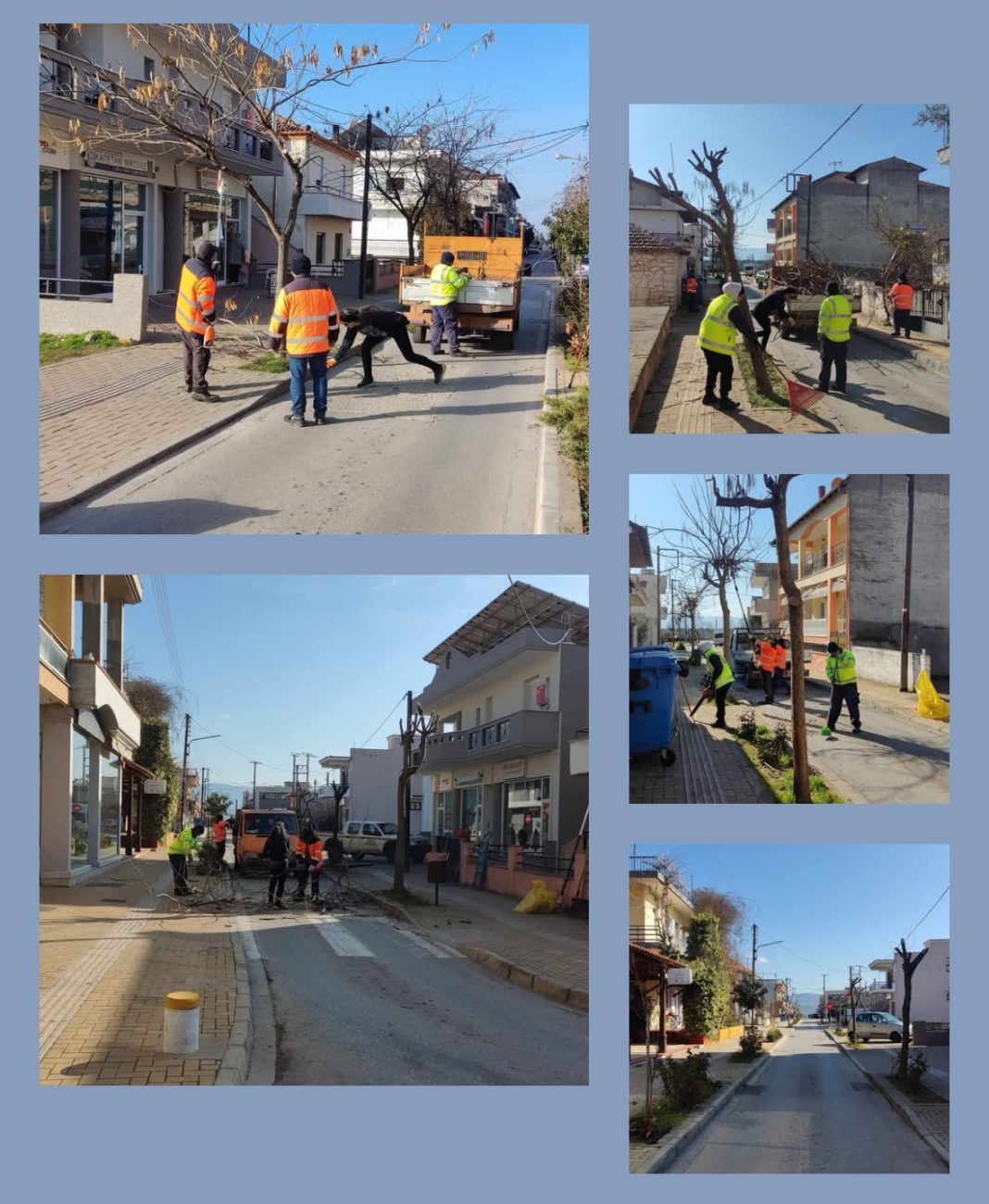 Κοινότητα Κρηνίδων: Κλάδεμα – καλλωπισμός δέντρων στον πεζόδρομο των Κρηνίδων